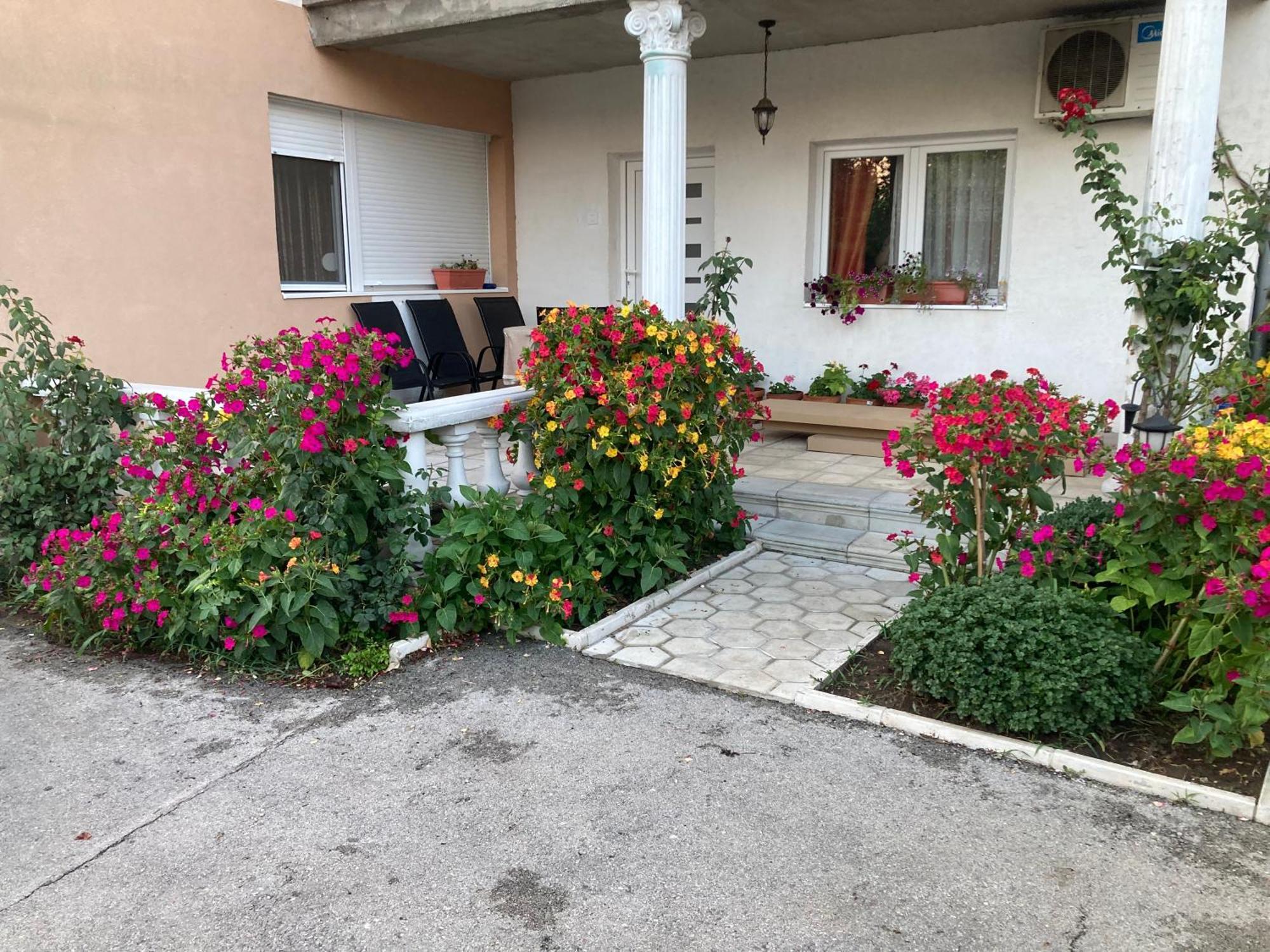 בלגרד Apartment Milos מראה חיצוני תמונה